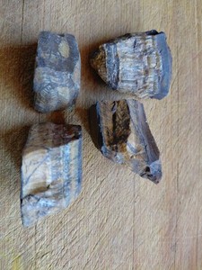 Lot of 4 Pieces Petrified Wood Fossil Rough Natural Slices Chunks