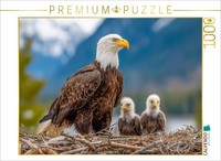 Puzzle Calvendo Pygargue à TêTe Blanche Avec Jeunes Oiseaux Au Nid Dans Un DéCor