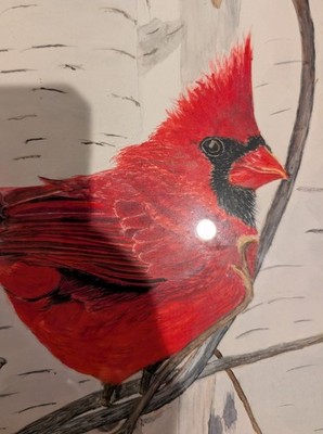 Charles E. Meyer Northern Cardinal original watercolor