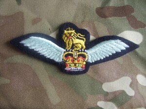 army air corps wings