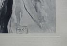 Picture 4 of 8