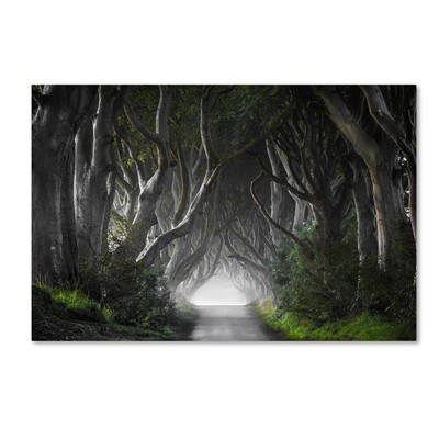 Modern & Contemporary Canvas Art, 22x32