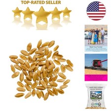 Brand Certified Wheat Berries  Non-GMO  Kosher  18 LBS