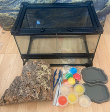 Reptile /invertebrate Glass Terrarium 30 x 20 x 20cm with starter kit 1day ship