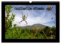 "Calendar 2027 · US Version · Fascination Spiders (Wall Calendar 2027 17\" × 12\" L"
