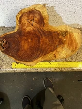 Eastern Red Cedar Bowl Turning Blank 10" x 9 1/2" x 7"