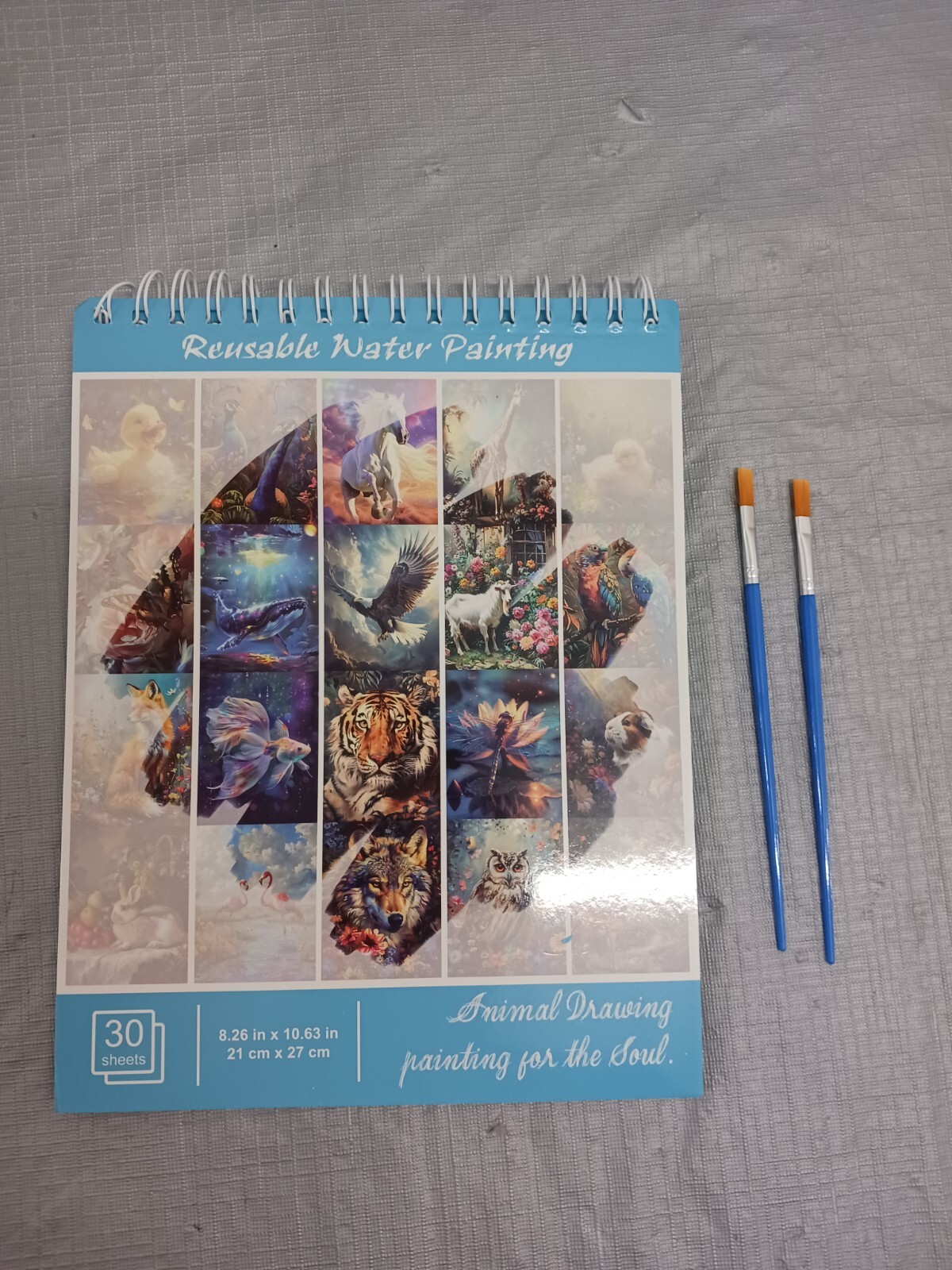 Dementia activities senior adult no mess water paint set 11" X 9". With Brushes