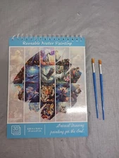 Dementia activities senior adult no mess water paint set 11" X 9". With Brushes