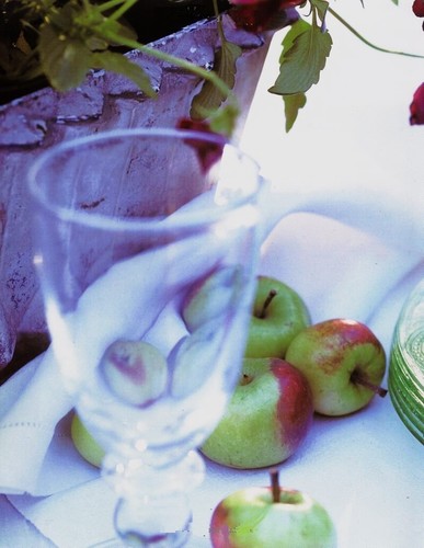 Bon Appetit : Outdoor Entertaining Hard Cover Numbered First Edition - NEW - Picture 6 of 23