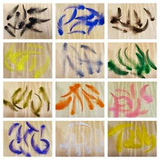 Nimrod's Tackle 1/2 oz LOOSE NECK HACKLE 3-6" FEATHERS FLY JIG TYING MATERIAL