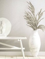 Vliestapete Putz Struktur Beton Optik Einfarbig Weiß 34517 Marburg (4,45€/1Qm)
