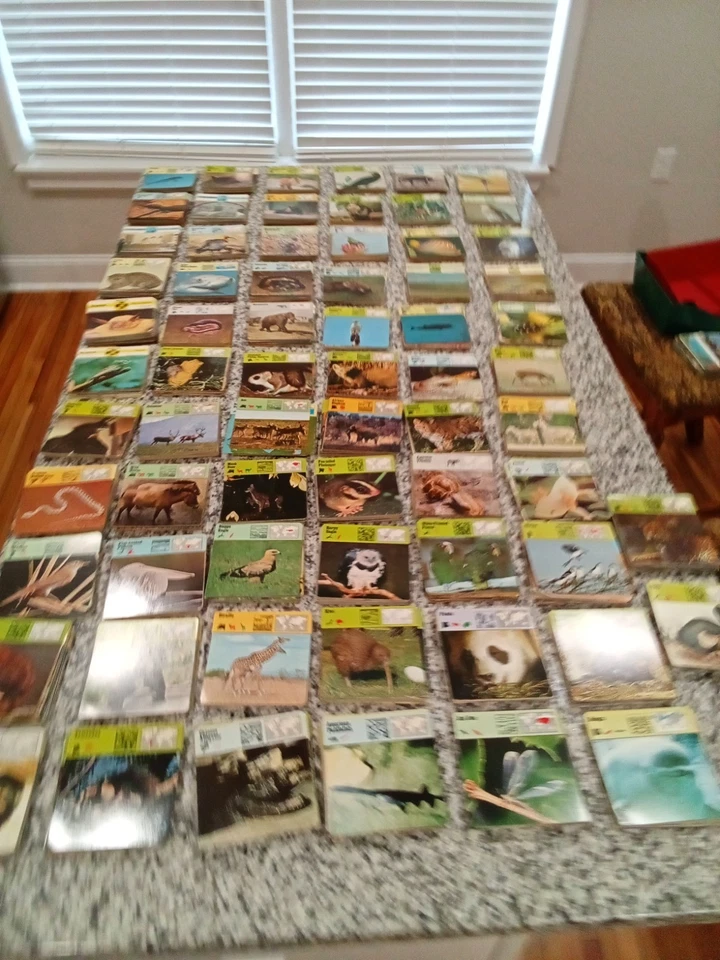 Rencontre Safari Cards Of Knowlege 1970s Huge Lot 3,400 w/ Trays Rencontre Rare. - Image 2 of 4