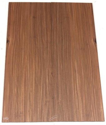 Pau Ferro drop top / lam top for electric guitar PFDT77B