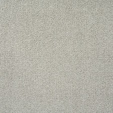 Grey Saxony Carpet 10mm Thick Cheap Grey Carpets ONLY £5.99m²  Bedroom Lounge