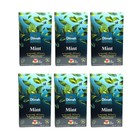 Dilmah -  Fun Flavored Tea - Mint - Ceylon Tea - 20 Tea Bags x 06 Packs