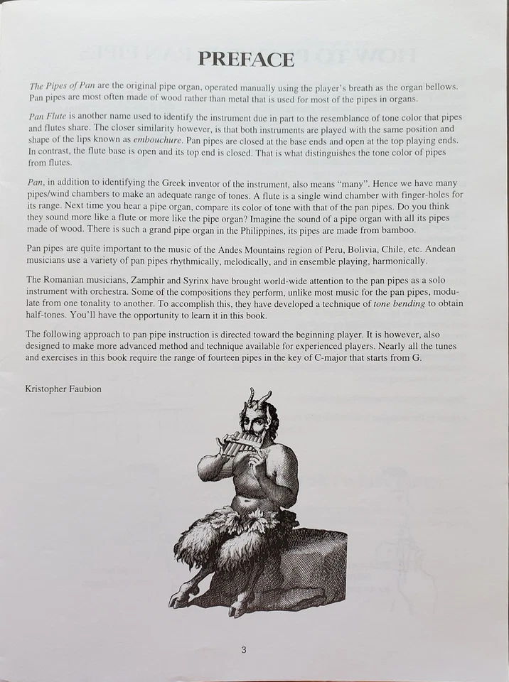 Pan Flute Fun With Lessons Songs Sheet Music Songbook - Image 3 of 4