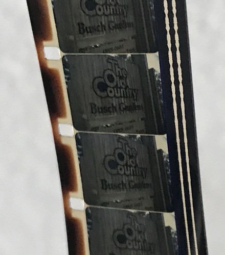 EXC ORIG 16MM OF ALL PLACES TO MEET A MONSTER 1979 BUSCH GARDENS TECHNICOLOR
