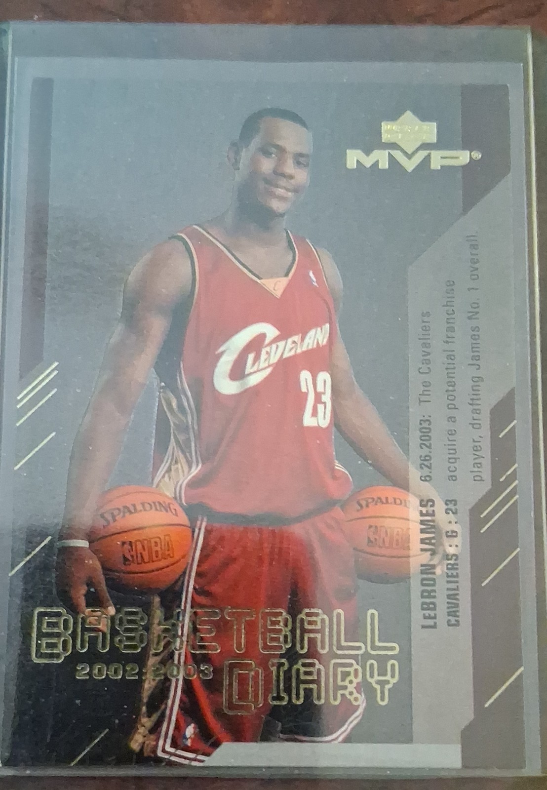 2003-04 Upper Deck MVP - Basketball Diary LeBron James #BD13 (RC)