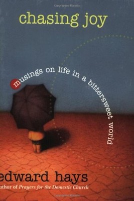 Chasing Joy : Musings on Life in a Bittersweet World Perfect Edwa