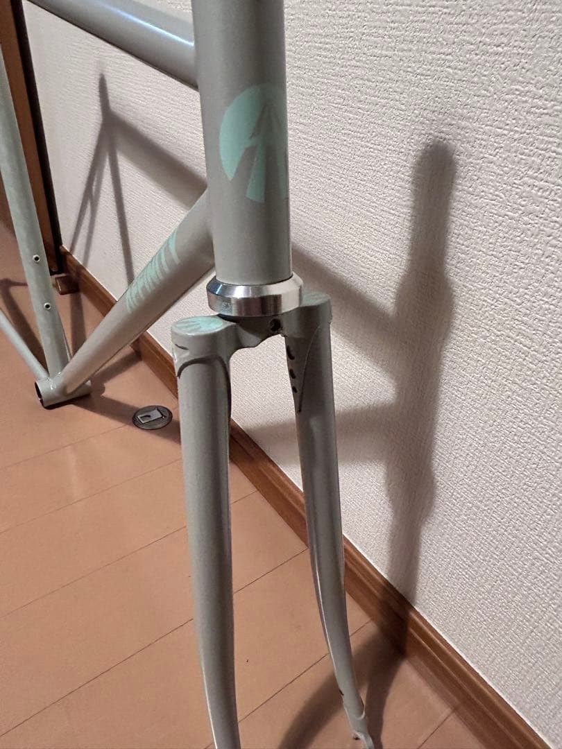 Affinity Cycles Metropolitan 2022 Track Frame Small Size | eBay