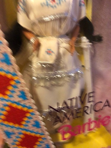 Barbie Doll Native American Special Edition 1992 Dolls Of The World Series - Picture 7 of 11