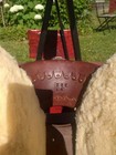 Bild 6 von 12