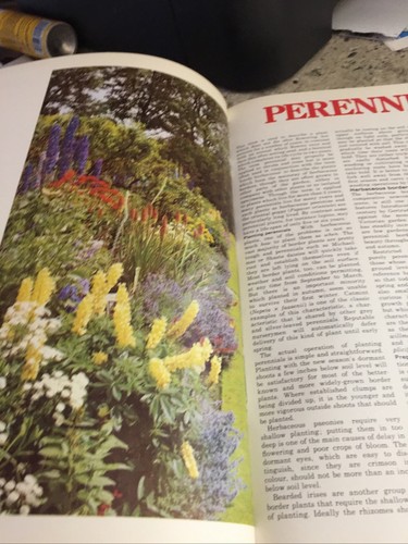 Favourite Perennial Flowers by Maggie McCormick hardcover - Picture 3 of 8