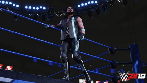 WWE 2K19 (Xbox One) MINT Condition Fast & Fee Delivery UK Stock - Picture 3 of 4