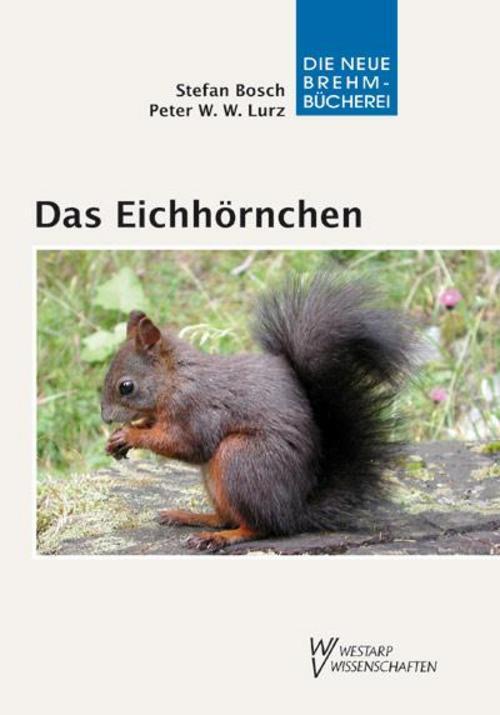 Das Eichhörnchen, Stefan Bosch