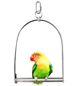 parakeet swing