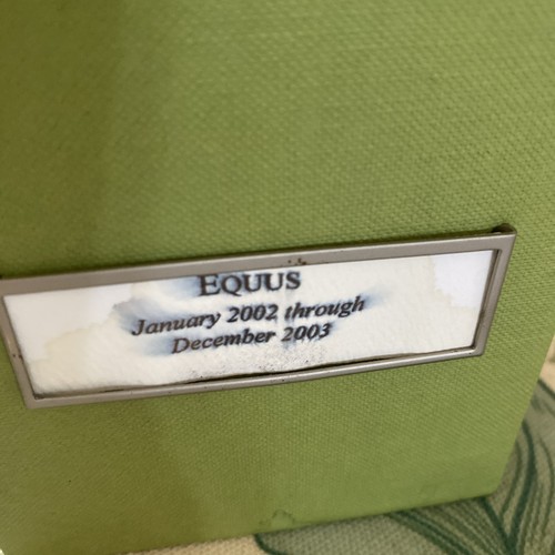 Equus Magazin 24 Stück Pferde - Bild 2 von 8