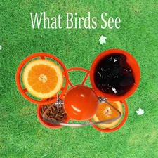 Oriole Bird Feeder with 2 Orange holders, 1 Jelly dish, 1 Mealworm dish