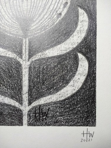 Outsider Moon Flower Pencil Drawing by Hew-White, Folk Surrealism - Picture 4 of 9