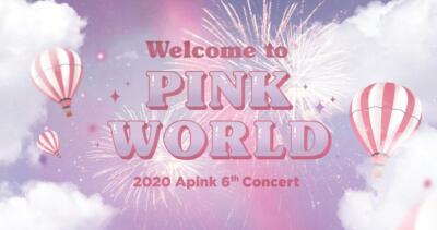 2020 Apink 6th Concert Welcome to PINK WORLD GOODS TICKET CASE