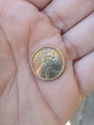 1909-S VDB Lincoln Wheat Cent 1c Penny Coin Uncertified Circulated Ungraded