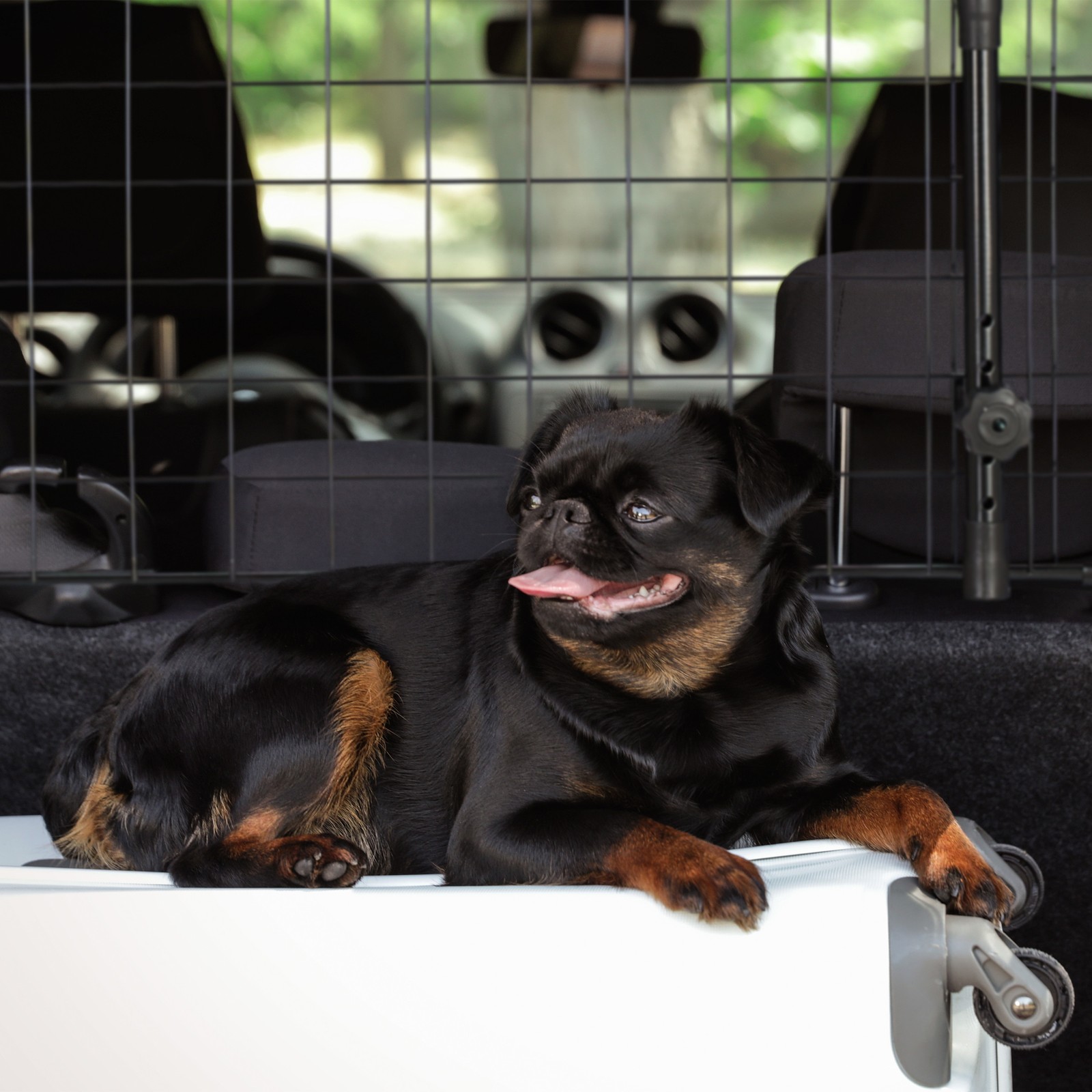 Hundeschutzgitter auto Kofferraumschutzgitter Universal Hundegitter verstellbar