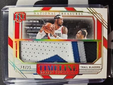 2020-21 Panini National Treasures Robert Covington Timeline Jumbo Patch 14/25