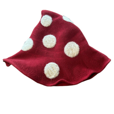 Hand Needle Felted Mushroom Wizard Gnome Hat