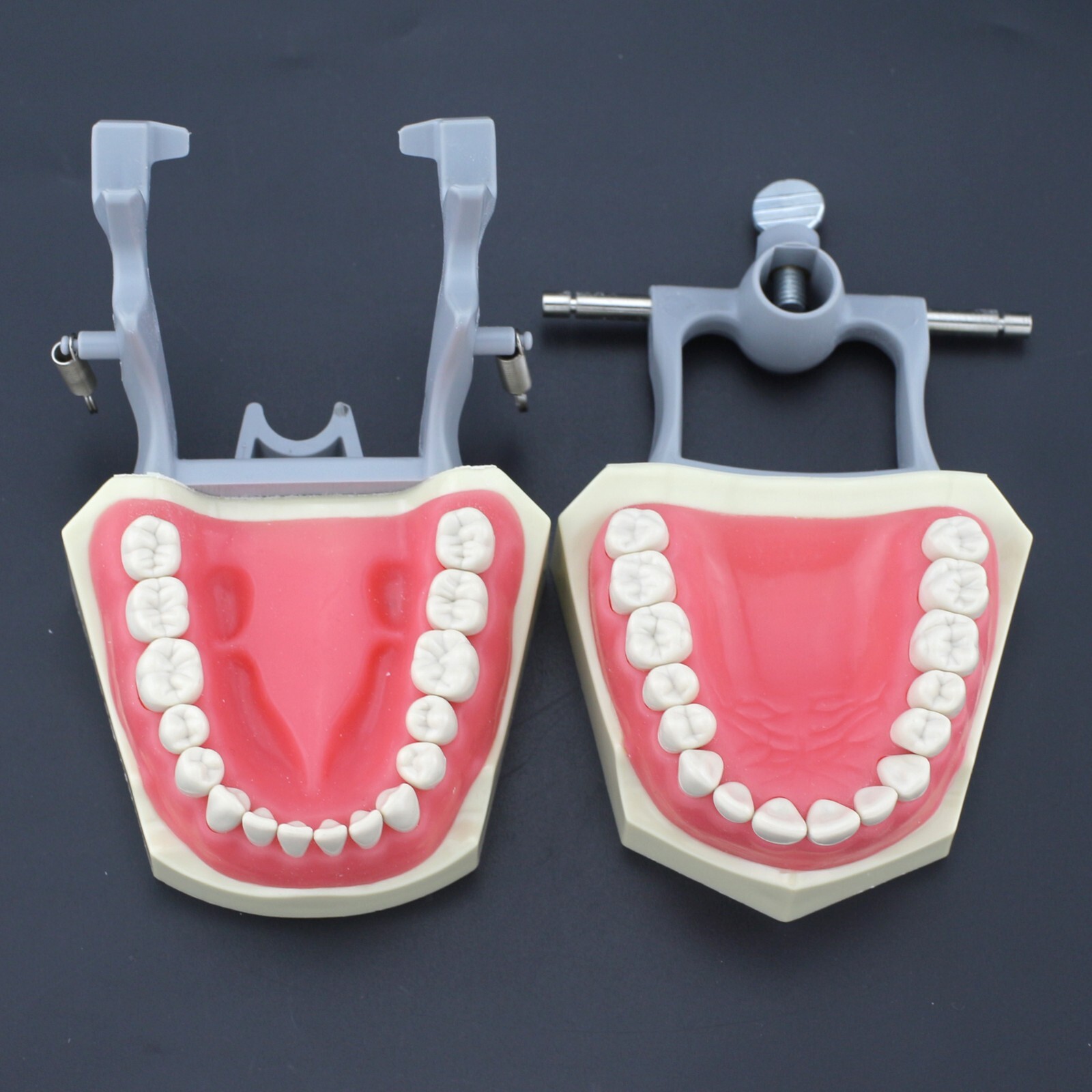 Dentale M8030 Typodont Restauro Modello 32 Pz Denti Columbia 860 - Foto 6