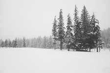 Landscape nature trees snow Custom Gaming Mat Desk