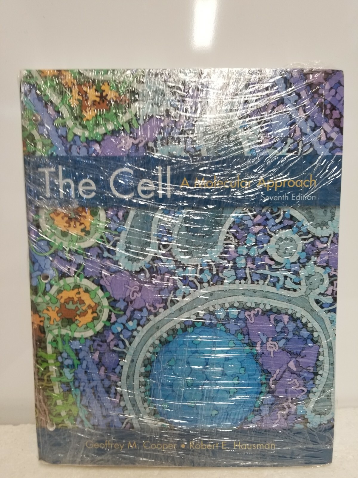 The Cell: A Molecular Approach - Seventh Edition - LOOSE-LEAF ...