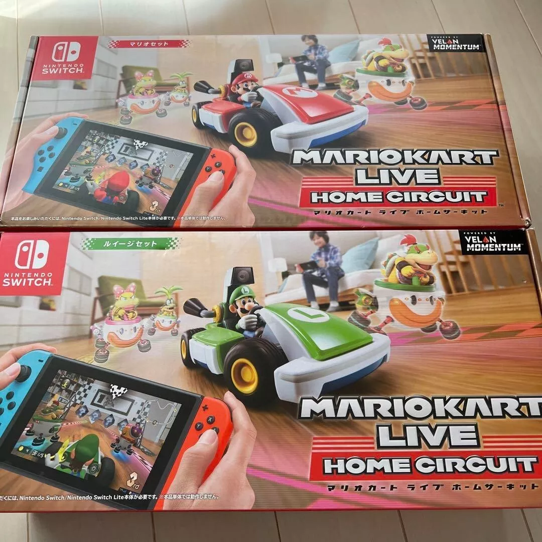  Mario Kart Live: Home Circuit - Luigi (Nintendo Switch) : Video  Games