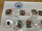 Pokemon League Sinnoh Gym Badges, Fennekin Key Chain, Trainer Tower pin, 12set — photo 3