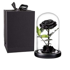 Preserved Roses Black Roses Handmade Real Rose in Glass Dome, Preserved Roses...
