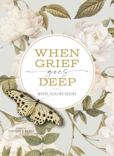 When Grief Goes Deep Where Healing Begins by Timothy Beals (Paperback Book)