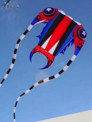 3D 7sqm 1 Line Stunt Parafoil Trilobites POWER Sport Kite outdoorEasy to Fly01
