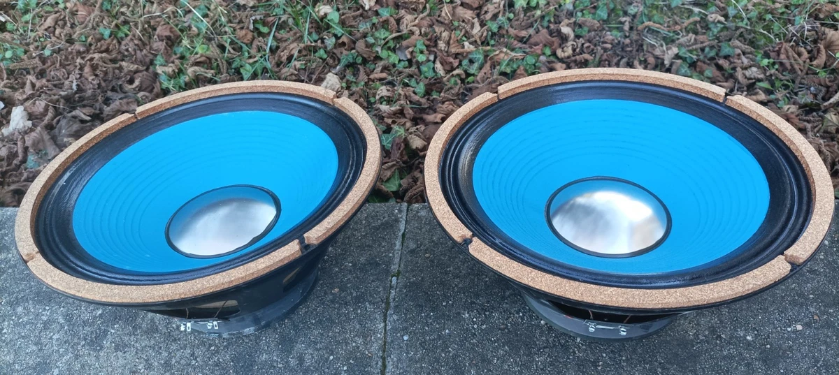 Paire De Woofers Goodmans 25 Cm - Occasion Bon état