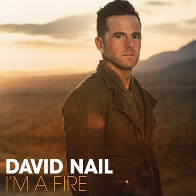 I'm a Fire [CD] David Nail [*READ* Ex-Lib. DISC-ONLY]