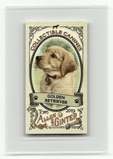 2019 Topps Allen & Ginter #CC-6 Golden Retriever Collectible Canines Minis