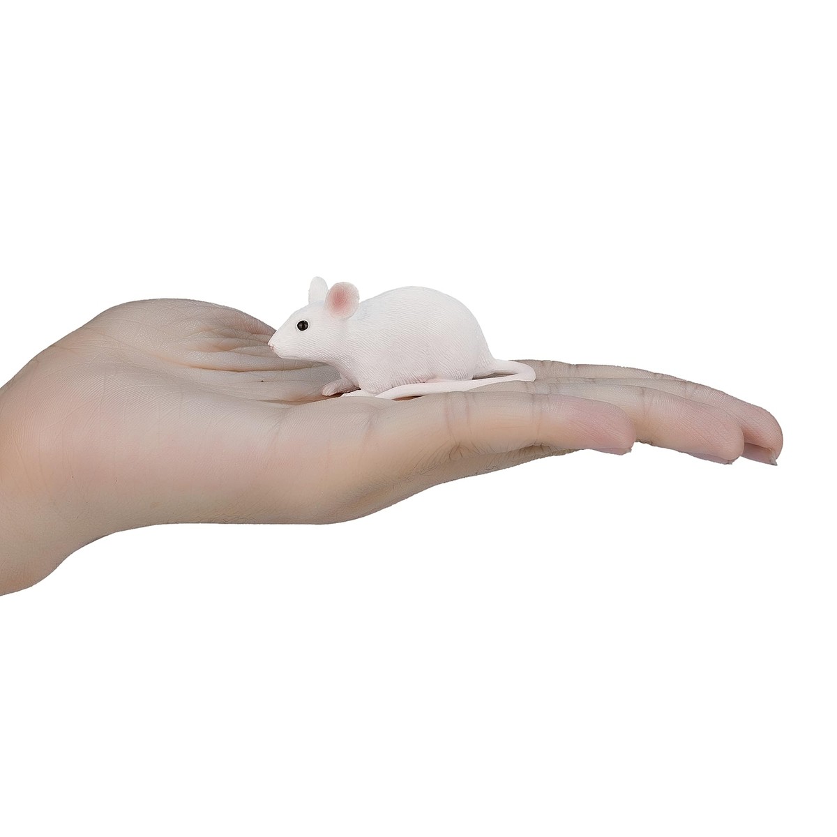 MOJO Spielfigur Gemischt – Realistische Tierfiguren Zum Sammeln & Spielen